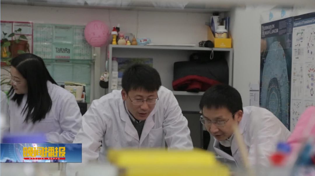 合肥肿瘤治疗新技术,合肥治疗肿瘤新技术