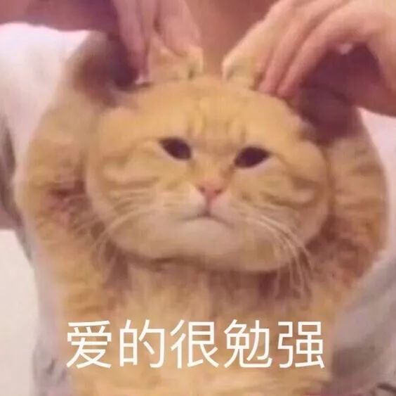 深扒国货护肤品品牌有哪些,深扒大牌护肤品