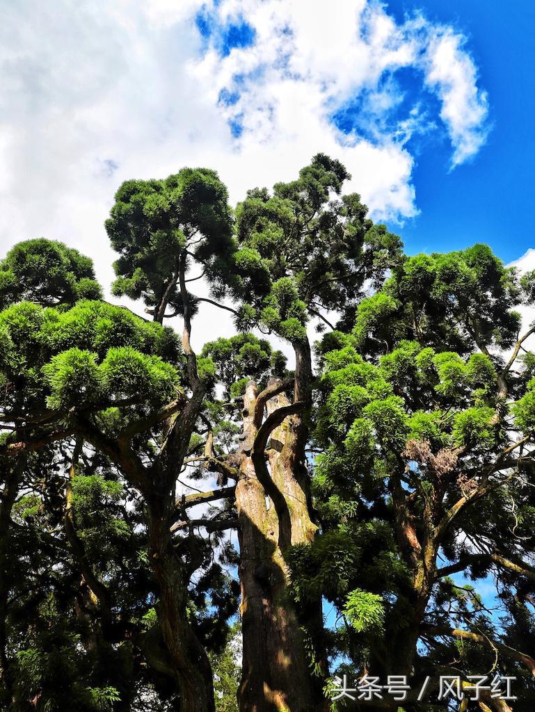 福州避暑网红景点前十名,福州夏天周边游景点推荐最新
