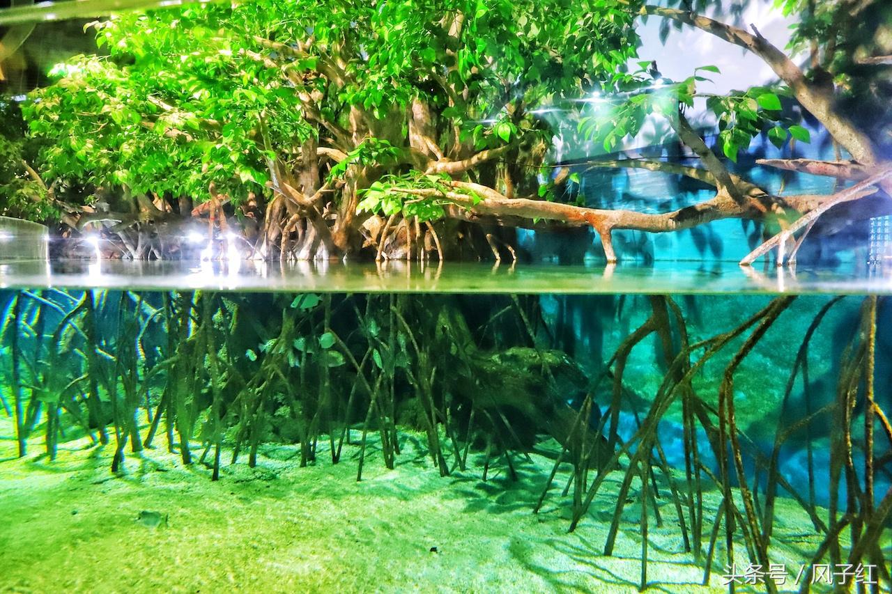 福州避暑网红景点前十名,福州夏天周边游景点推荐最新