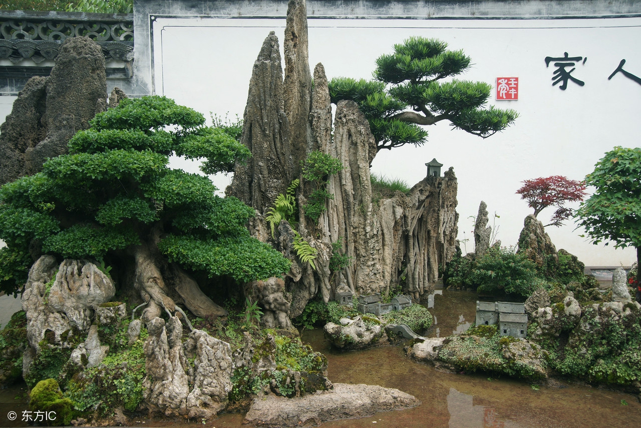 清韵优雅的盆景欣赏,盆景欣赏难得一见的绝美盆景艺术