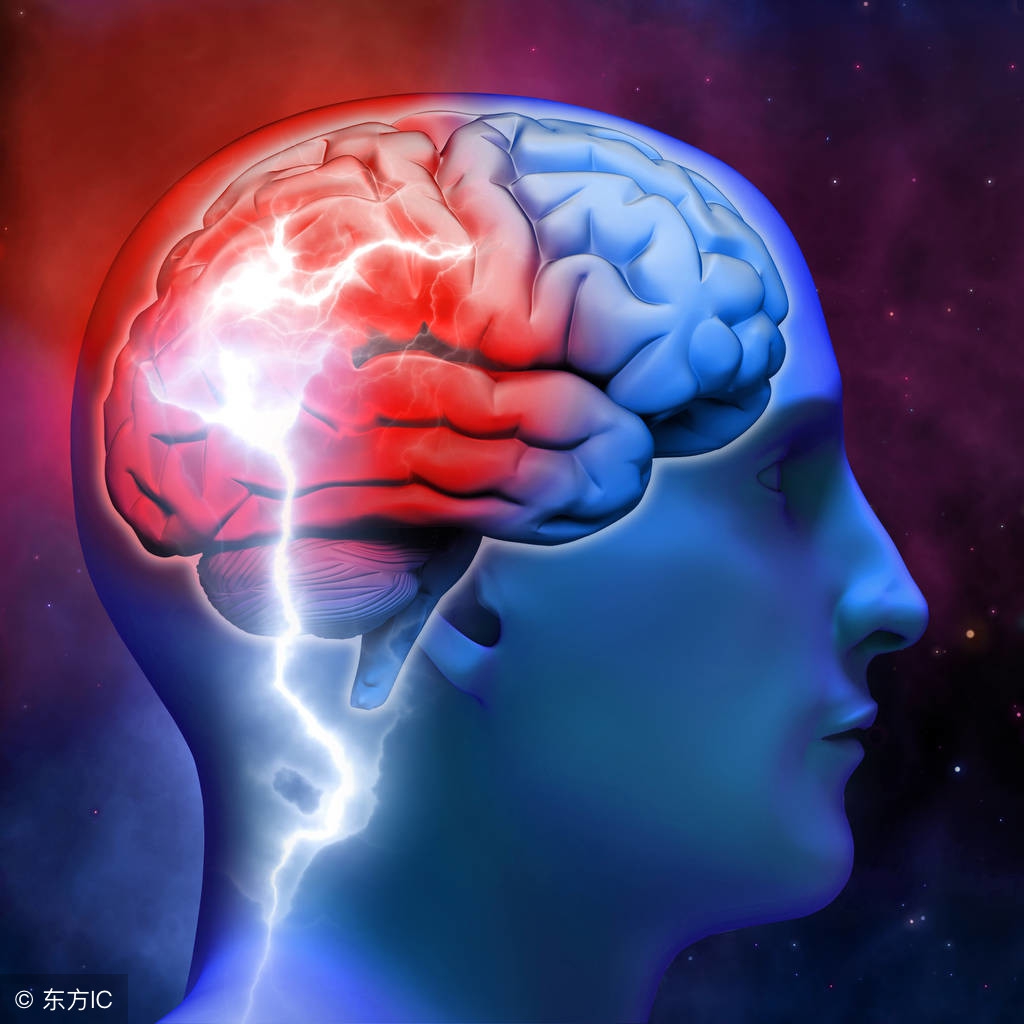 生命的起源与进化生物视频,生命的起源与进化历史纪录片