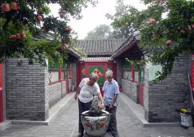 院子里的石榴树有什么寓意,庭院石榴树的说法