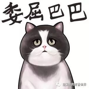 大家好，我是胶原蛋白，我有话要说