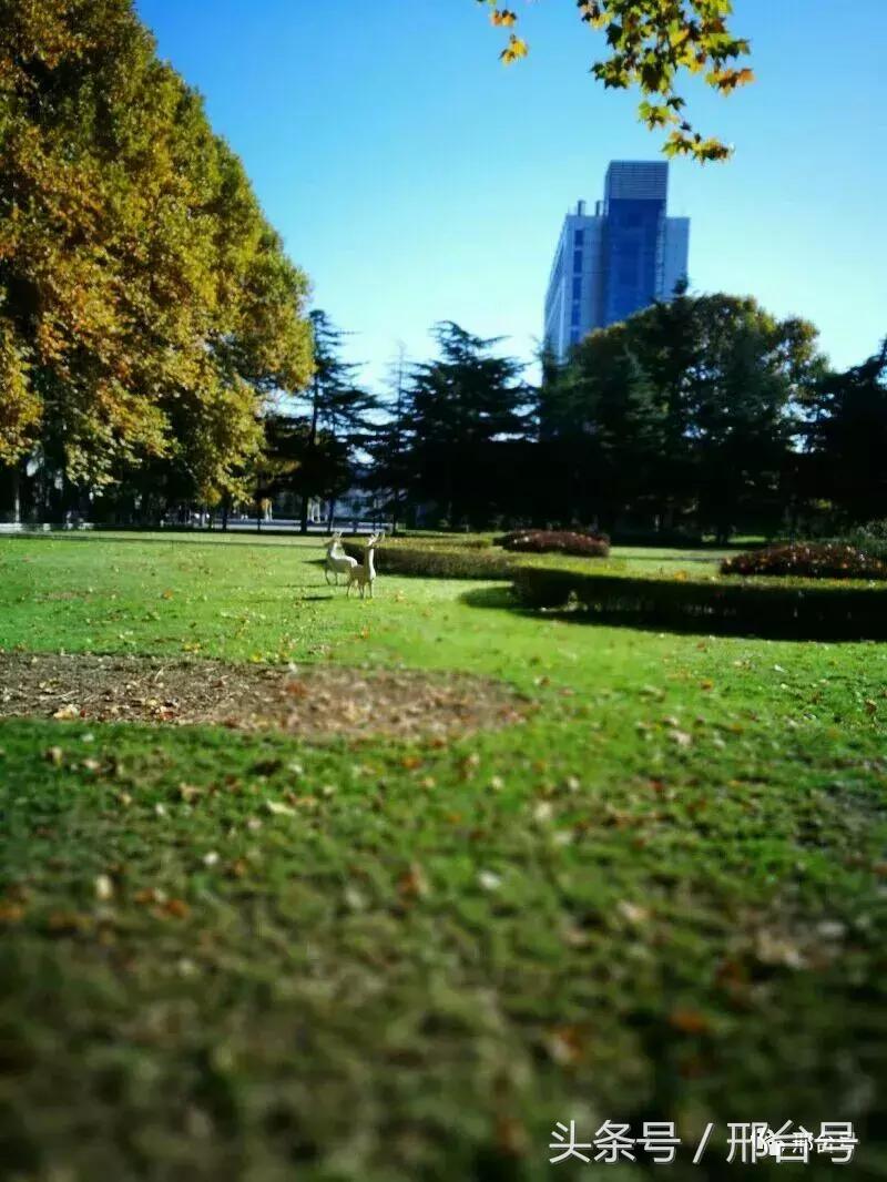 冶金厂六十年的记忆情怀！