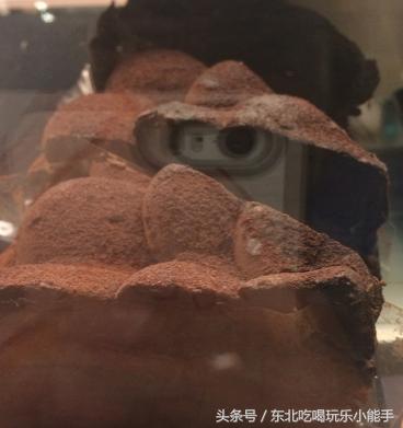 星巴克新出的春日甜品,星巴克冬季推荐甜品有哪些