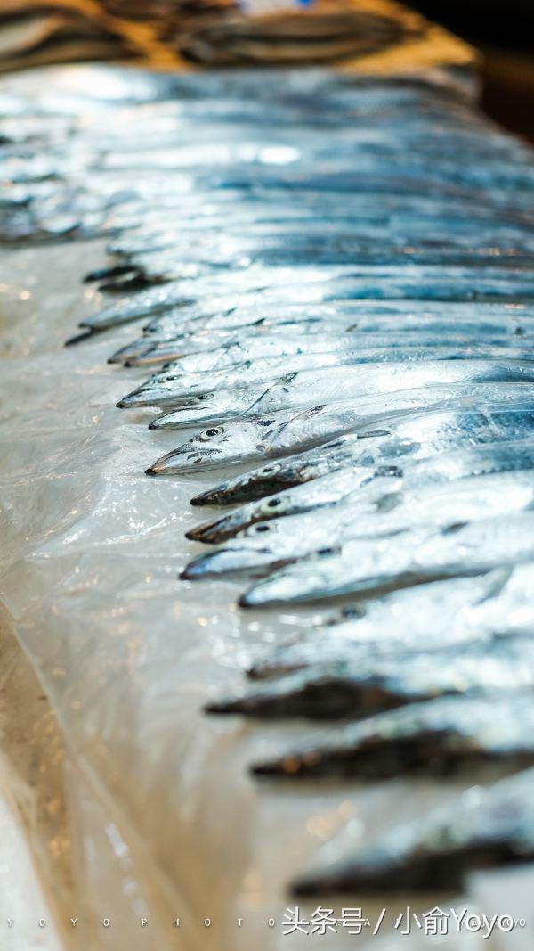 夏天济州岛旅游攻略,夏游济州岛