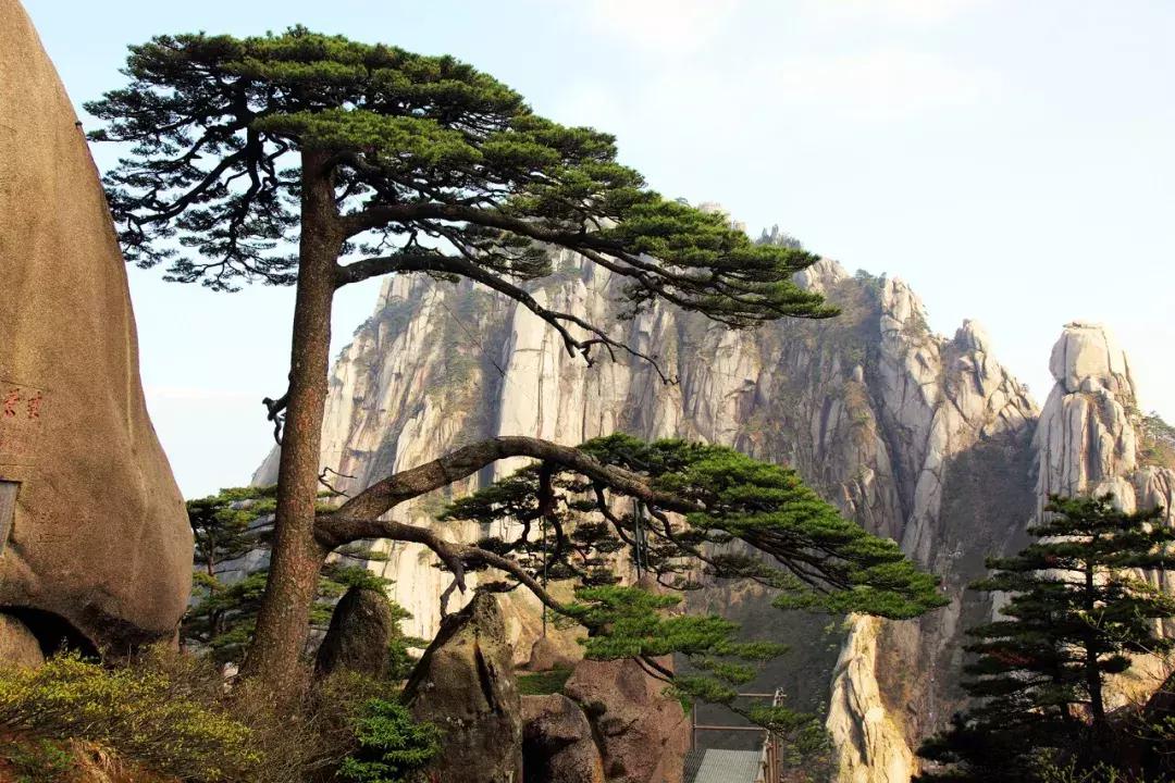 早啊新闻来了完整版,早啊新闻来了手机版怎么下载