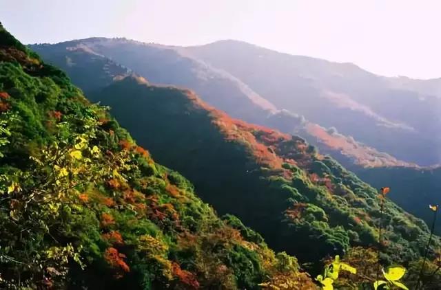 红河谷避暑好去处,宝鸡红河谷景区气温