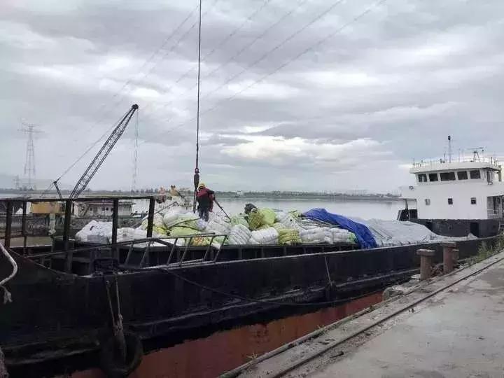 700多吨走私洋垃圾衣物被查获,国外垃圾场旧衣服