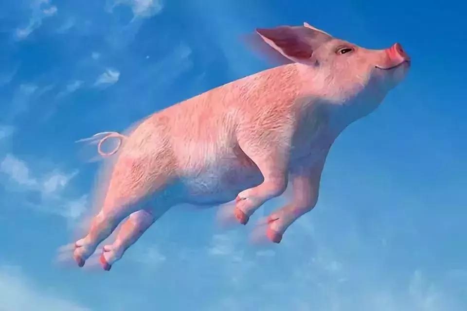 汽车后市场这5年：说起来也不全是“泪”……