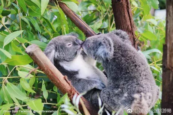 打卡*党**，购物狂，美食咖……新时代旅行人格图鉴，欢迎对号入座！