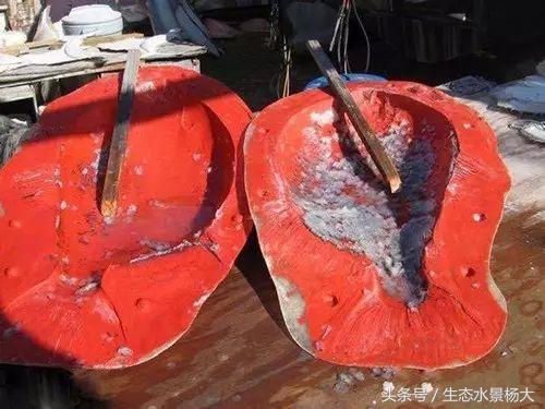 真鱼做法教程,如何自制仿真鱼模型教程