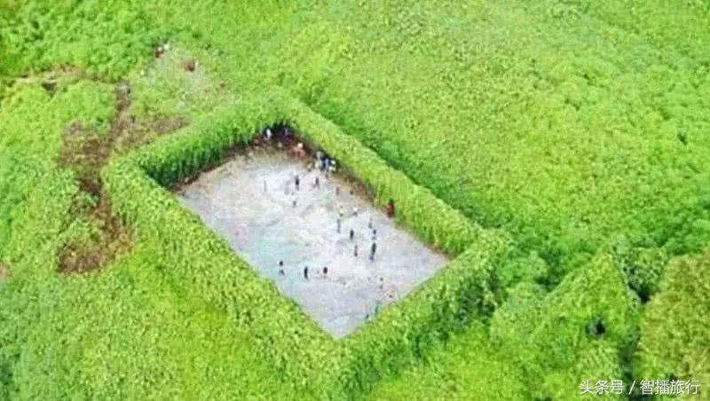 足球最不可思议的100个进球,足坛最不可思议的比赛