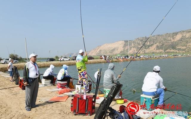 合阳洽川黄河湾,合阳钓鱼大赛