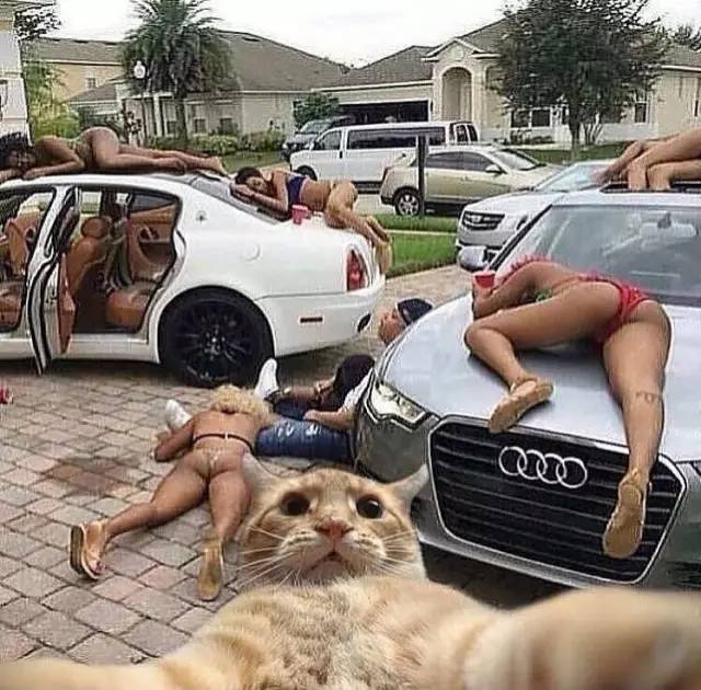 集体照就要这样拍,护士节科室集体创意照