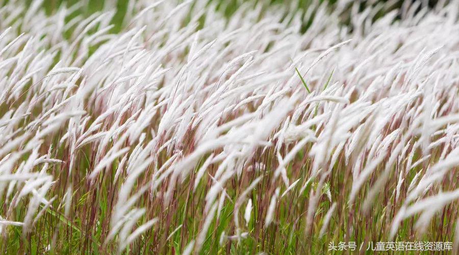 高中英语高频词汇表668,高中英语基础词汇1318