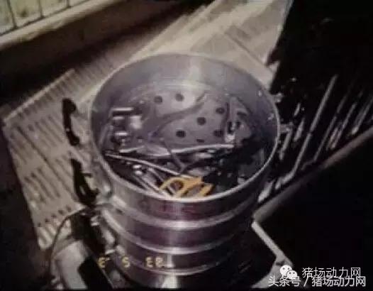 猪场分娩舍有哪些重点,猪场正常分娩接产的操作流程