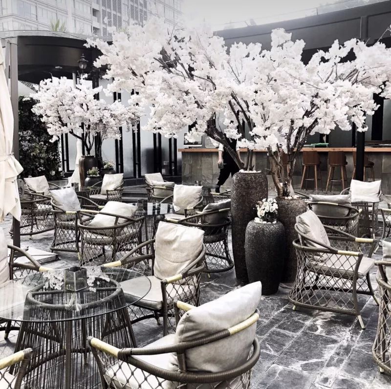 深圳适合过生日的地方推荐龙岗区,深圳适合庆祝生日的地方