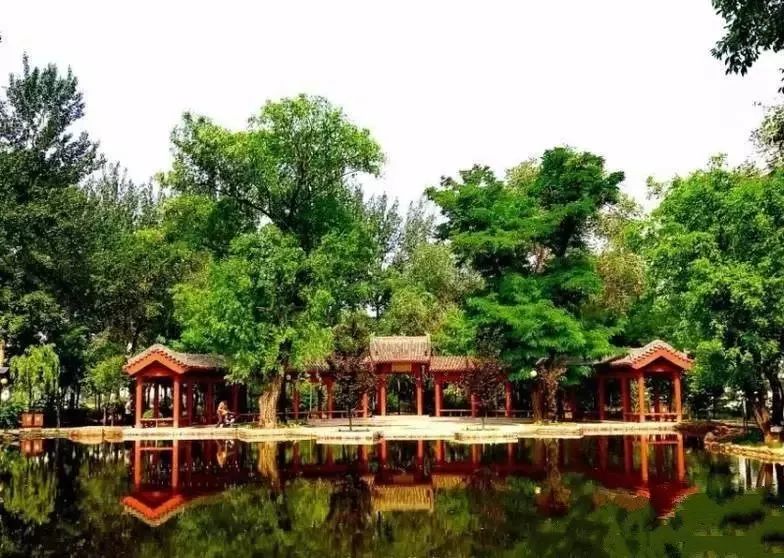 萌新攻略选修课,萌新攻略实用