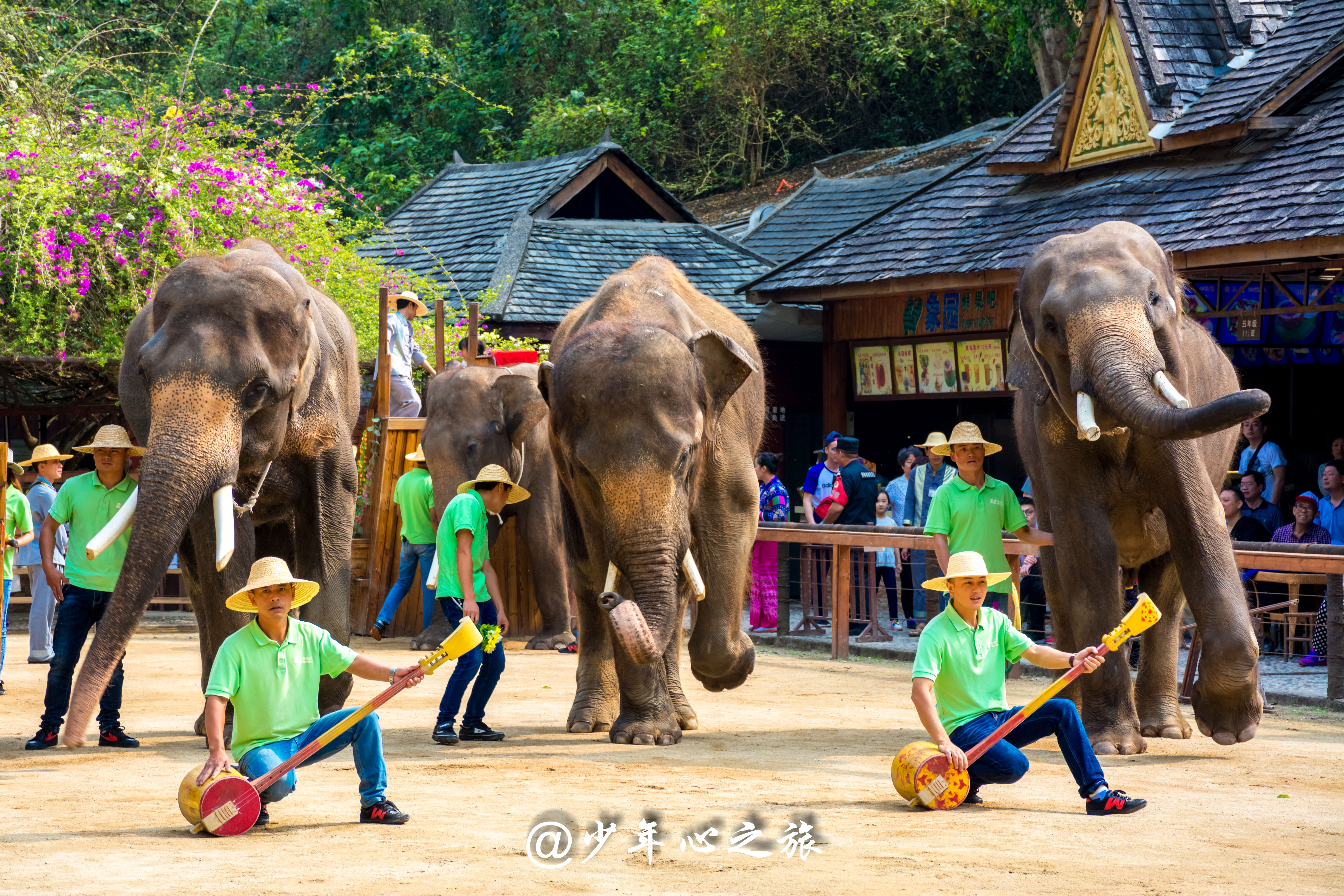 西双版纳必打卡三大景点,西双版纳必须打卡的景点