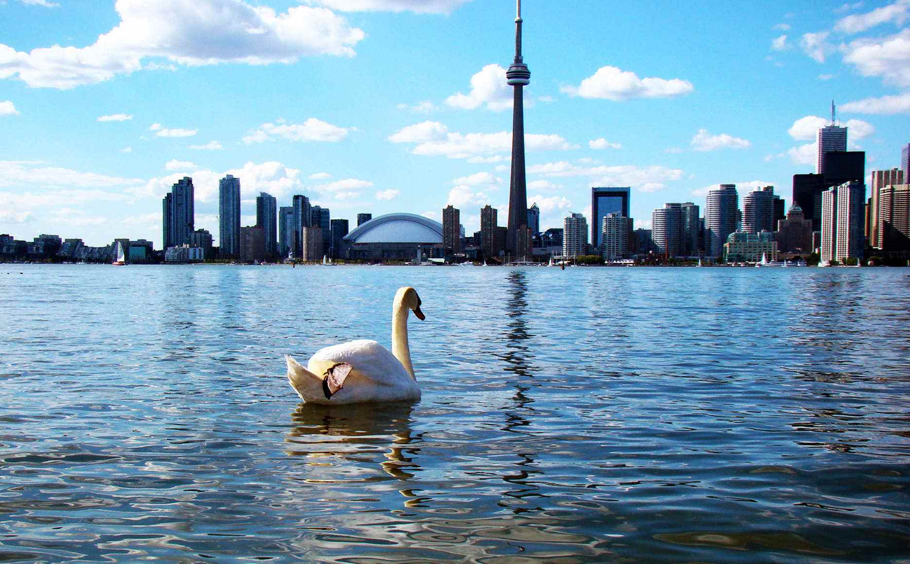 加拿大国土面积最大的哪个省,枫叶之国加拿大有多少人