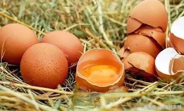 发霉食物伤肾、致癌，去掉坏的还能吃？