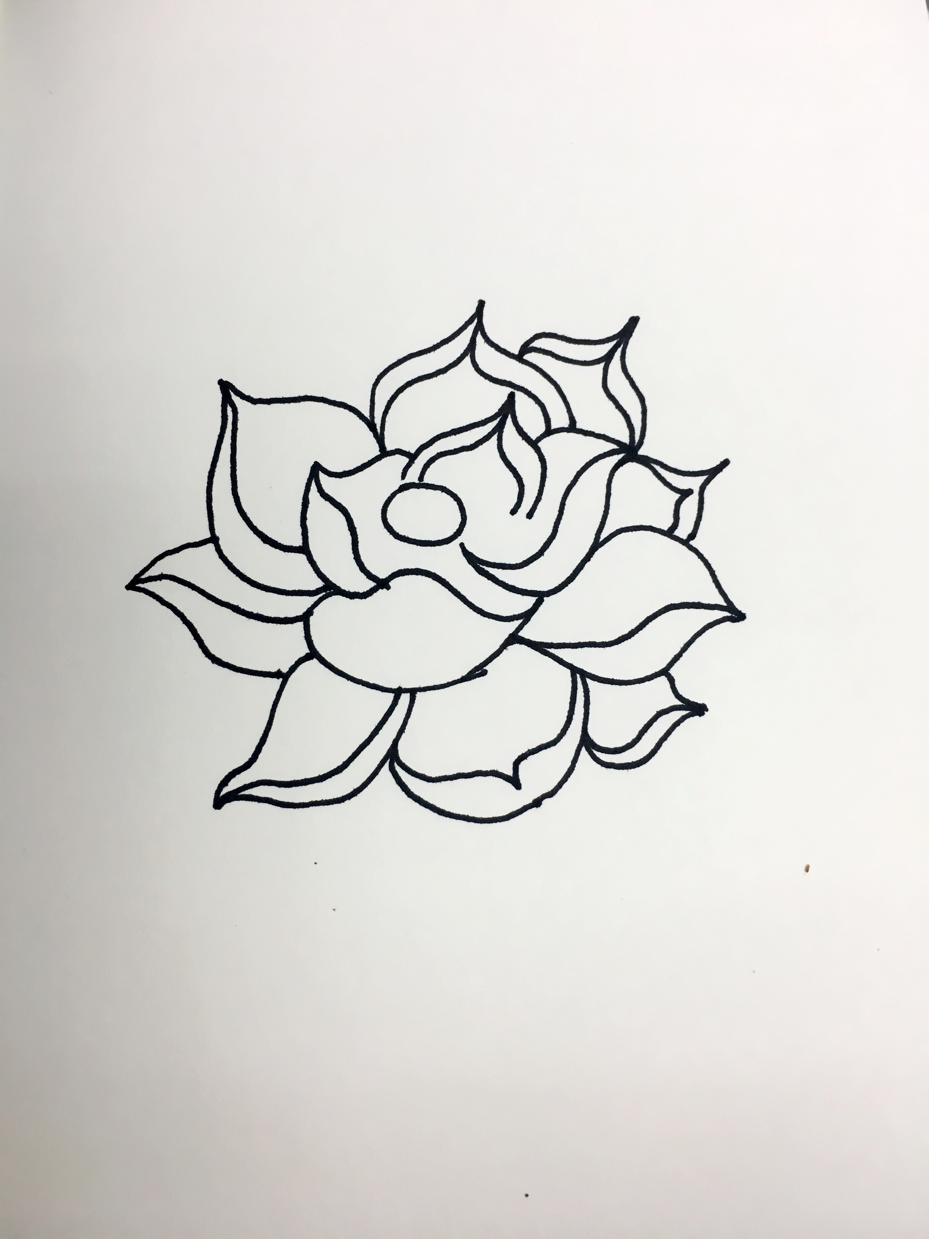 简单画荷花的步骤图解,画荷花好看又简单的教程