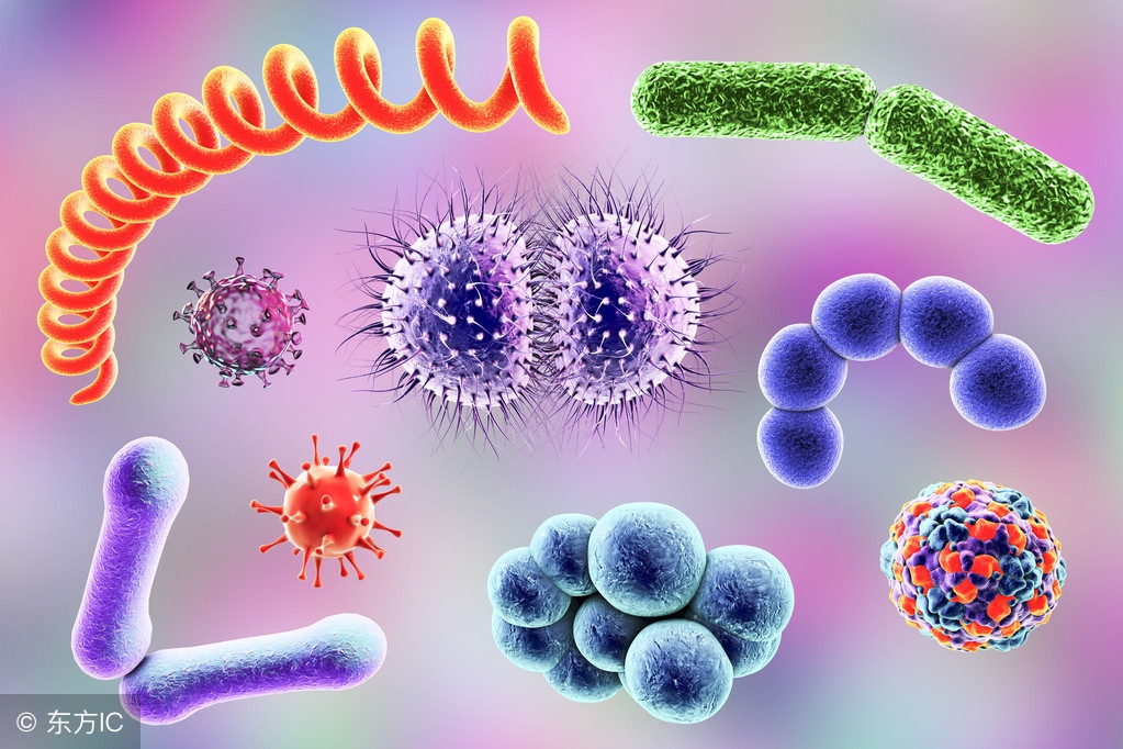 常见病原菌的种类,菌感染用药指南推荐