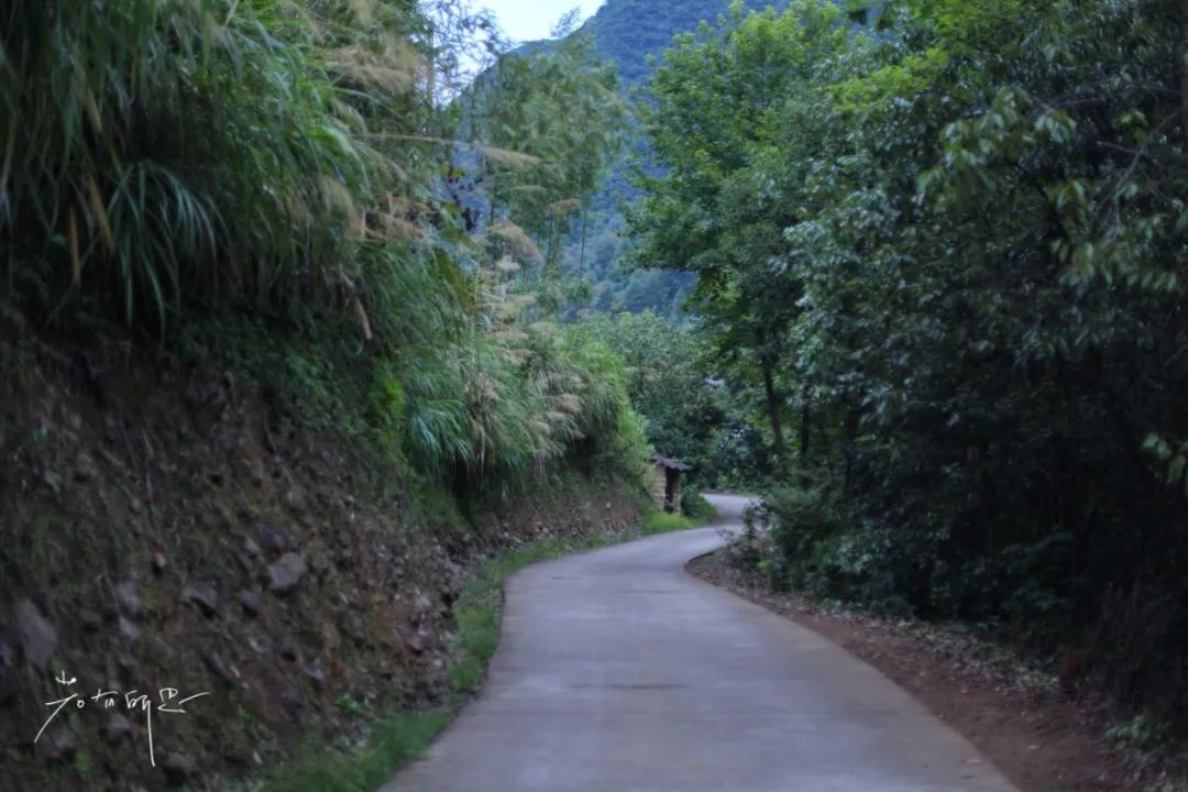 桐庐天子地避暑胜地 (避暑胜地亲子游桐庐)