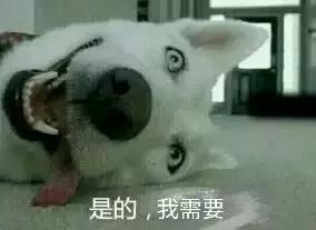 福懋动物诊所西槎路分院,福懋动物医院从化