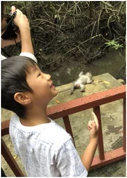 马来西亚兰卡威亲子游,马来西亚兰卡威缺点