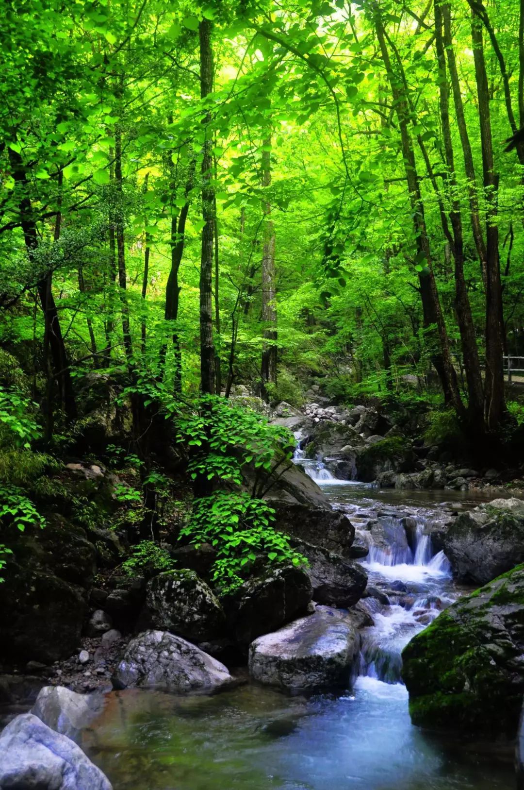西安夏天特别凉快的地方,西安夏季河边凉快吗
