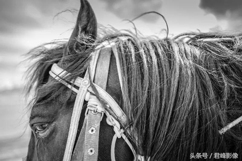 玩相机玩摄影,玩徕卡m系列从多大镜头开始