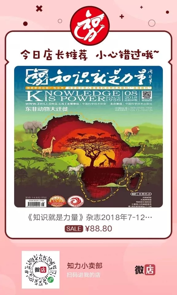 东非动物大迁徙记录完整版,东非野生动物大迁徙纪录片