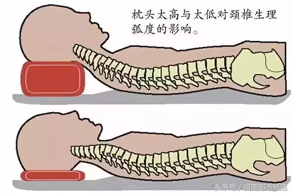 枕头是选高的好还是低的好,枕头高点还是低点对心脏好