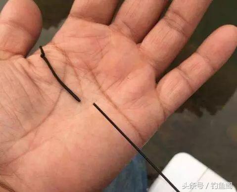 鱼竿老是断第一节什么原因,鱼竿容易断一二节的原因