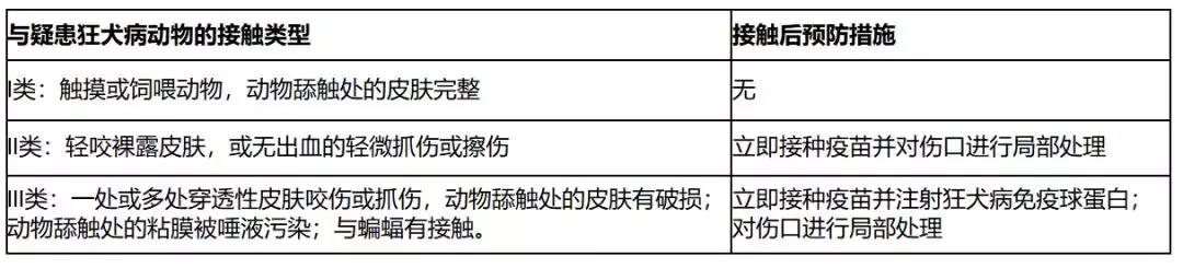 狂犬病科普知识讲解,关于狂犬病毒的科普知识文章