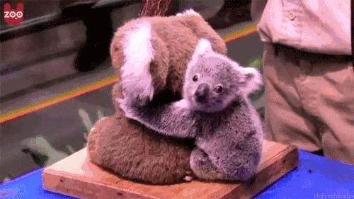 这个冬天让我们相约南半球的澳洲,旅行我的澳洲之旅