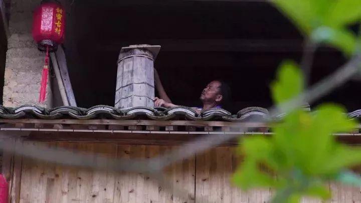 青田旅游区,浙江丽水青田旅游攻略