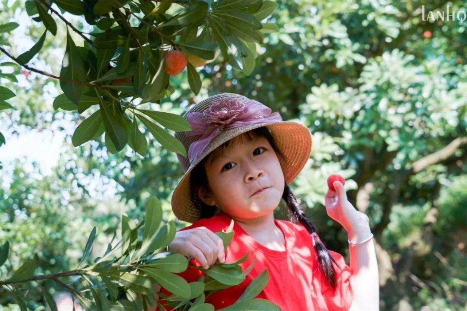 青田旅游区,浙江丽水青田旅游攻略