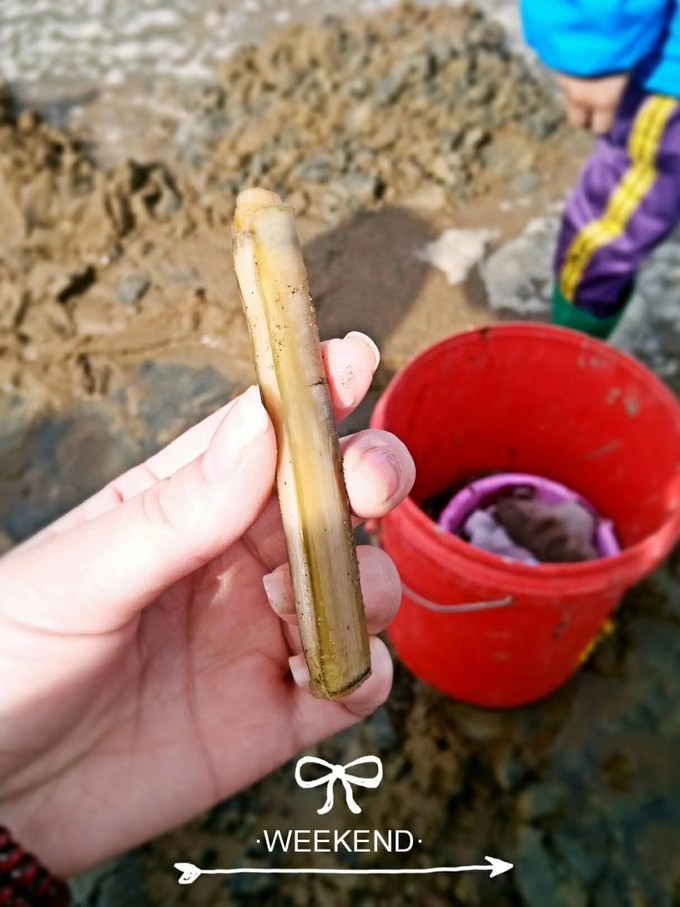 鲅鱼圈打卡地点排行榜,鲅鱼圈必打卡景点