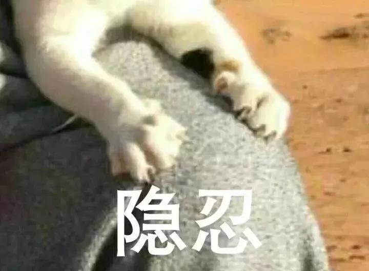 检察官法庭发飙,检察官发飙事件