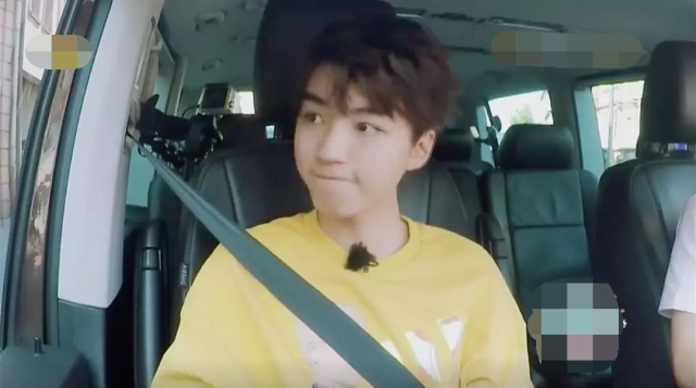 王俊凯表演遭吐槽,苏有朋王俊凯白举纲中餐厅