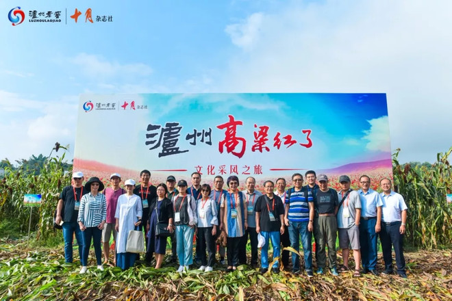 文坛名家走进高粱地，一瓶浓香国酒的诞生，多少人在见证？