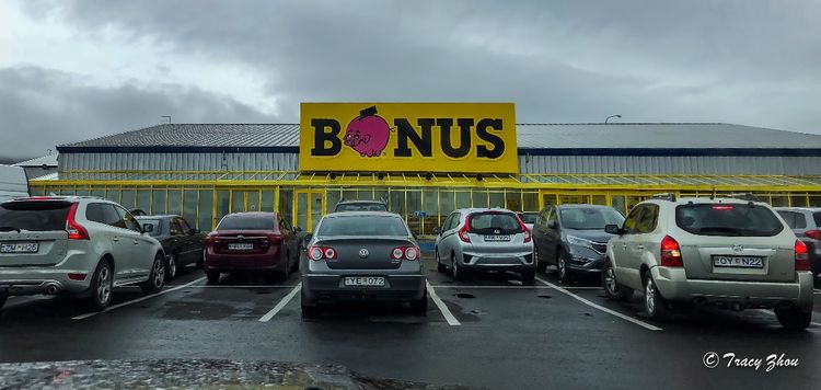 冰岛之行,千姿百态的冰岛行