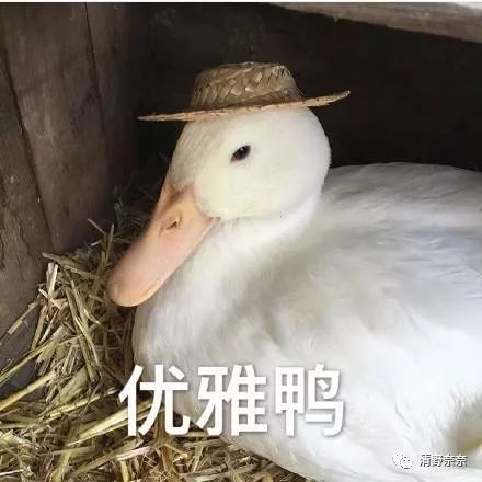 真正有效去黑头的方法,根治黑头最有效的方法