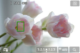 你不知道的相机功能,你所不知道的摄影师