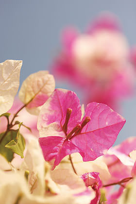 你不知道的相机功能,你所不知道的摄影师