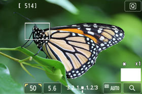 你不知道的相机功能,你所不知道的摄影师